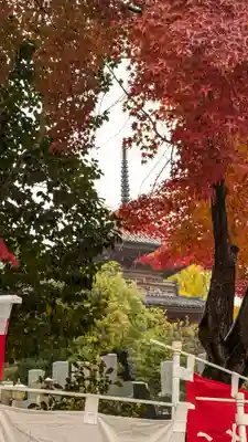 宝積寺(京都府)