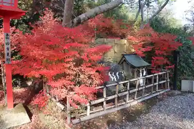 鍬山神社の庭園