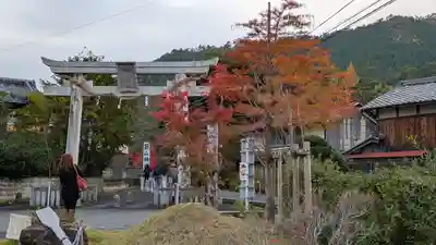 鍬山神社(京都府)