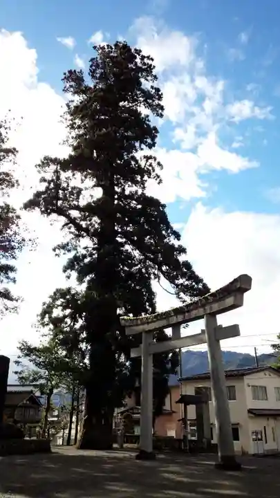 飛驒一宮水無神社の鳥居