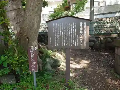 菅原神社(神奈川県)