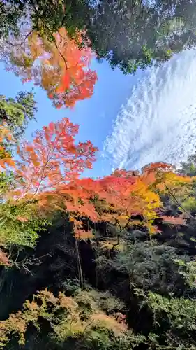 勝尾寺(大阪府)
