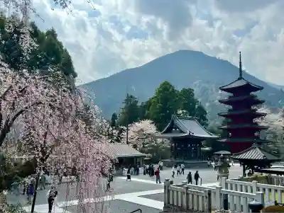 久遠寺(山梨県)