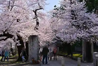 彌彦神社(新潟県)