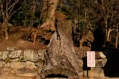 與止日女神社(佐賀県)