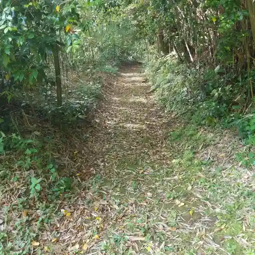 香取神社の自然