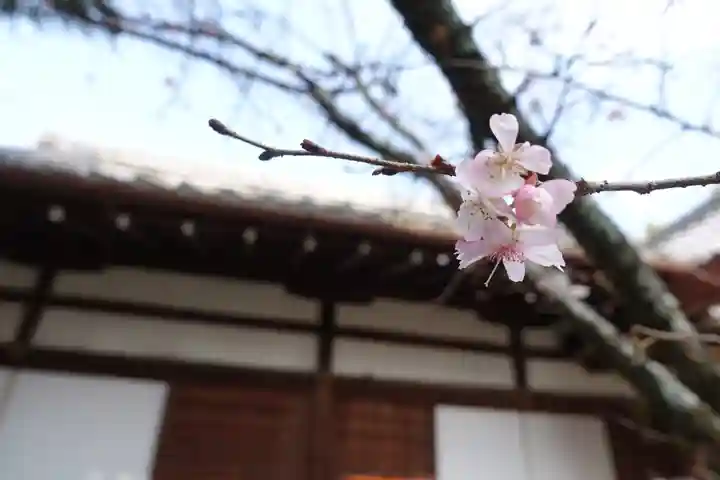 平野神社のその他建物