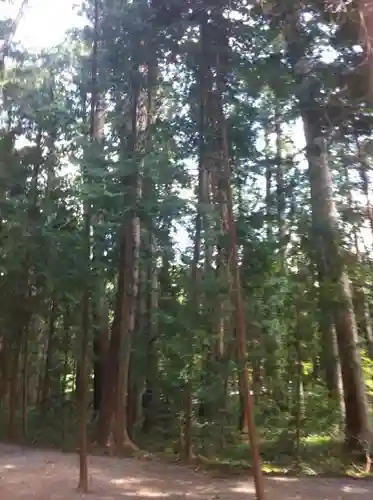 小國神社の自然