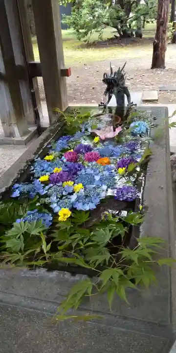 札幌護國神社の手水舎