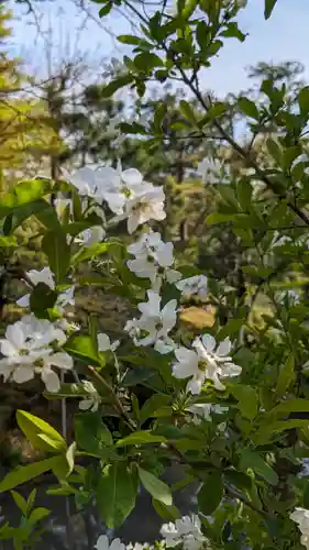 等持院(京都府)