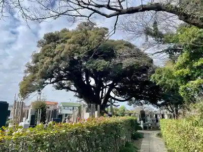 最勝院の{uncategorized: "未分類", other: "その他", undefined: "問題あり", building: "その他建物", grave: "お墓", sacred_gate: "鳥居", guardian: "狛犬", statue: "像", buddha: "仏像", history: "歴史", nature: "自然", garden: "庭園", animal: "動物", pagoda: "塔", temizu: "手水舎", mountain_gate: "山門・神門", sanctuary: "本殿・本堂", subordinate: "末社・摂社", art: "芸術", scenery: "景色", jizo: "地蔵", ema: "絵馬", goshuin: "御朱印", omikuji: "おみくじ", items: "授与品その他", amulet: "お守り", goshuincho: "御朱印帳", eats: "食事", festival: "お祭り", votive_dance: "神楽", shichigosan: "七五三参", wedding: "結婚式", experience: "体験その他", initially: "初詣", around: "周辺", anti_infection: "感染症対策"}