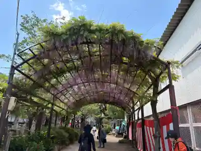 葛井寺(大阪府)