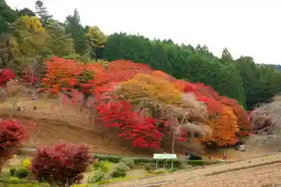 零羊崎神社(宮城県)