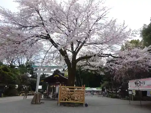 出雲大社相模分祠の自然