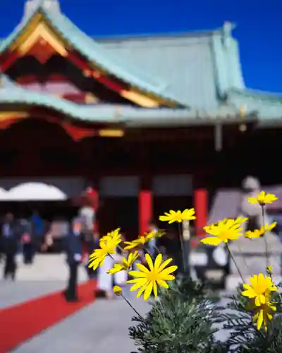 神田神社（神田明神）の自然
