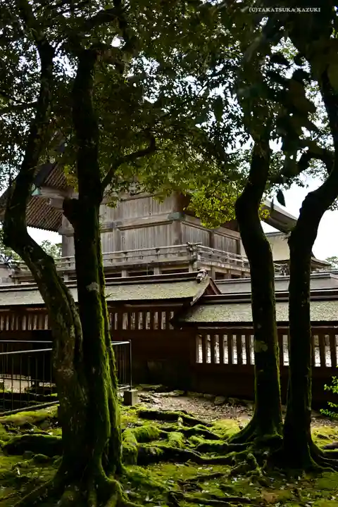 出雲大社の本殿・本堂