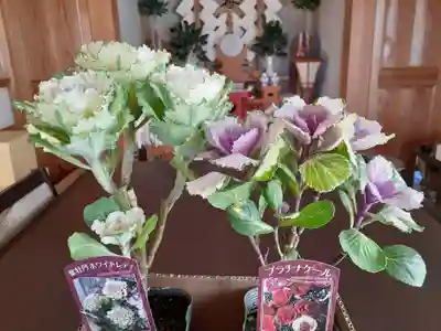 伏木香取神社(茨城県)