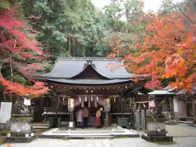 等彌神社の本殿・本堂