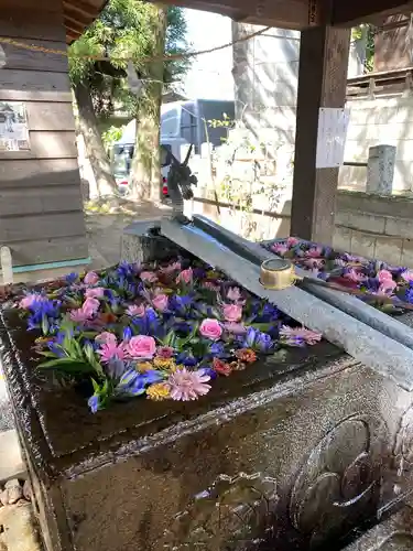 上野総社神社(群馬県)