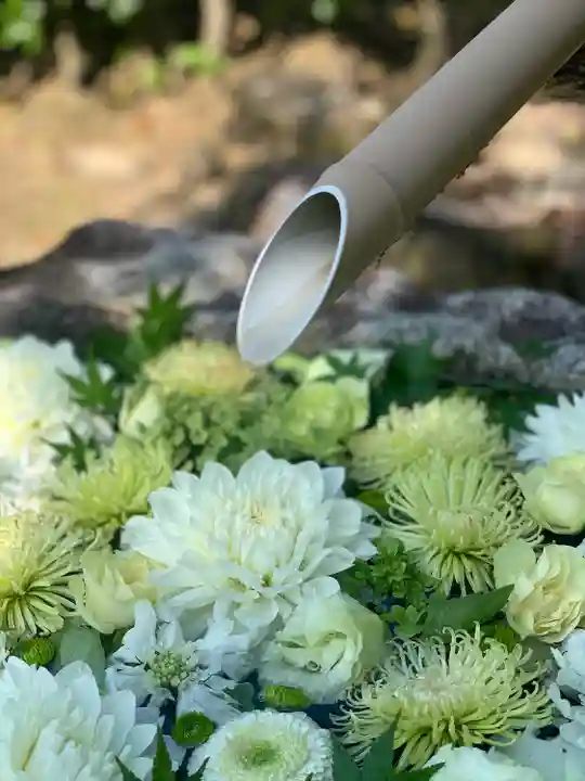 浄誓寺の手水舎