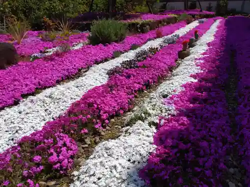寿量山　速成寺(奈良県)