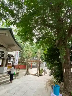 銀杏岡八幡神社の体験その他