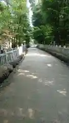 針名神社の建物その他