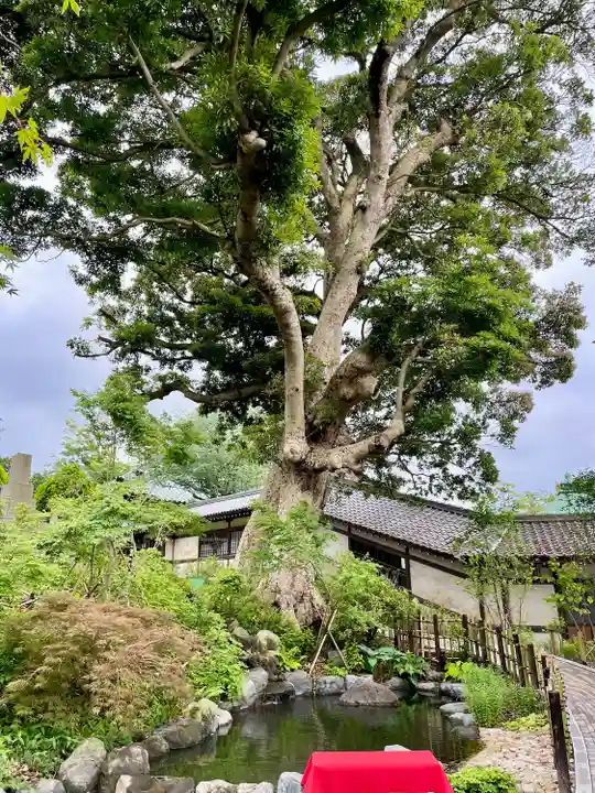 宇賀神社(神奈川県)