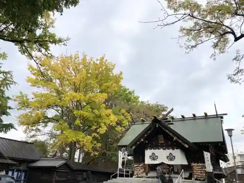 札幌諏訪神社の本殿・本堂