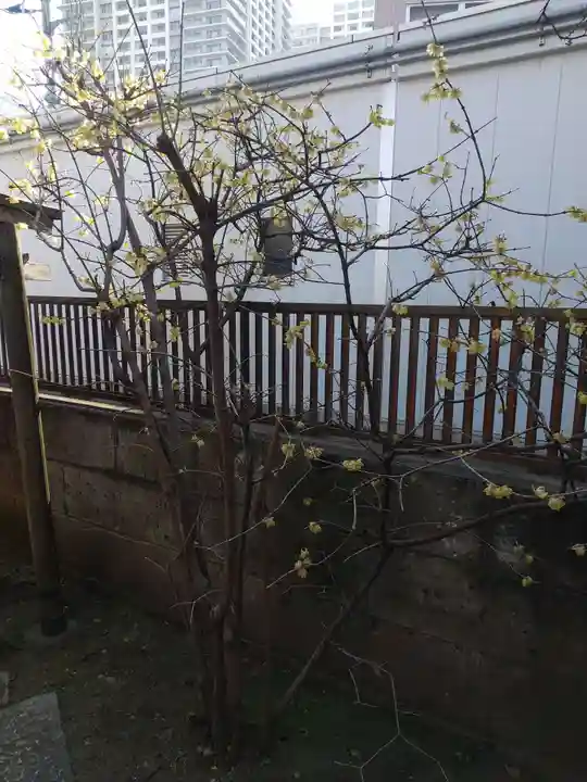 倉屋敷稲荷神社(埼玉県)