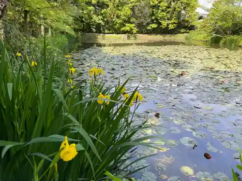酬恩庵一休寺(京都府)
