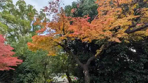 水無瀬神宮(大阪府)