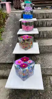 般若寺 ❁﻿コスモス寺❁(奈良県)