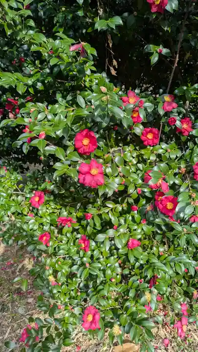 太田神社(大阪府)
