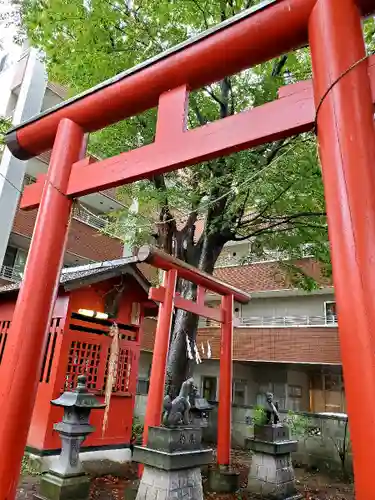 田中稲荷神社の鳥居