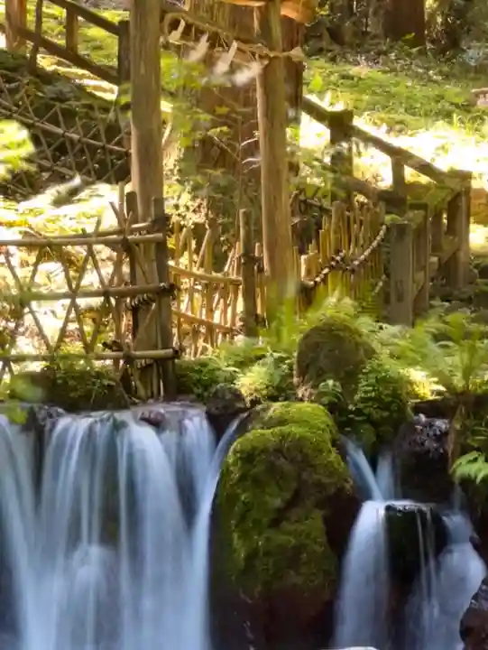 天徳寺(福井県)