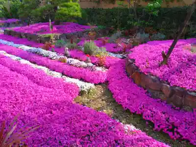 寿量山 速成寺(奈良県)