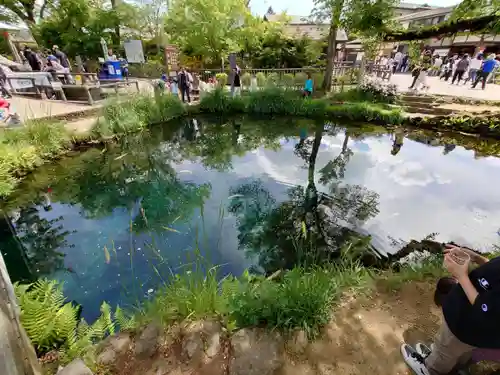 淺間神社（忍野八海）の庭園