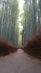 野宮神社の周辺