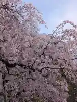 根岸八幡神社(神奈川県)