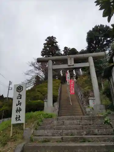 白山神社(東京都)
