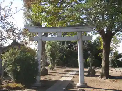 今城青坂稲実池上神社(埼玉県)