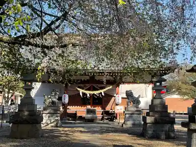 結城諏訪神社の本殿・本堂