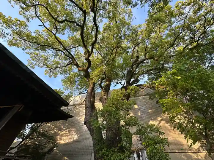 貴布禰神社(静岡県)
