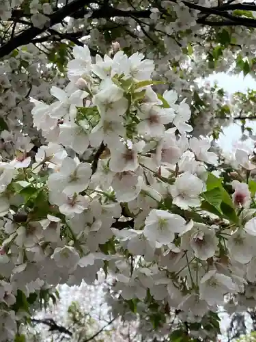 池上本門寺(東京都)