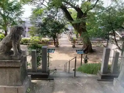 沢田八幡神社の{uncategorized: "未分類", other: "その他", undefined: "問題あり", building: "その他建物", grave: "お墓", sacred_gate: "鳥居", guardian: "狛犬", statue: "像", buddha: "仏像", history: "歴史", nature: "自然", garden: "庭園", animal: "動物", pagoda: "塔", temizu: "手水舎", mountain_gate: "山門・神門", sanctuary: "本殿・本堂", subordinate: "末社・摂社", art: "芸術", scenery: "景色", jizo: "地蔵", ema: "絵馬", goshuin: "御朱印", omikuji: "おみくじ", items: "授与品その他", amulet: "お守り", goshuincho: "御朱印帳", eats: "食事", festival: "お祭り", votive_dance: "神楽", shichigosan: "七五三参", wedding: "結婚式", experience: "体験その他", initially: "初詣", around: "周辺", anti_infection: "感染症対策"}