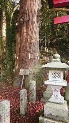 菅東山出世稲荷神社のその他建物