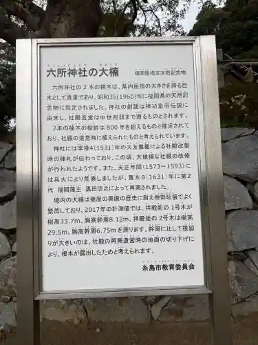 六所神社の{uncategorized: "未分類", other: "その他", undefined: "問題あり", building: "その他建物", grave: "お墓", sacred_gate: "鳥居", guardian: "狛犬", statue: "像", buddha: "仏像", history: "歴史", nature: "自然", garden: "庭園", animal: "動物", pagoda: "塔", temizu: "手水舎", mountain_gate: "山門・神門", sanctuary: "本殿・本堂", subordinate: "末社・摂社", art: "芸術", scenery: "景色", jizo: "地蔵", ema: "絵馬", goshuin: "御朱印", omikuji: "おみくじ", items: "授与品その他", amulet: "お守り", goshuincho: "御朱印帳", eats: "食事", festival: "お祭り", votive_dance: "神楽", shichigosan: "七五三参", wedding: "結婚式", experience: "体験その他", initially: "初詣", around: "周辺", anti_infection: "感染症対策"}