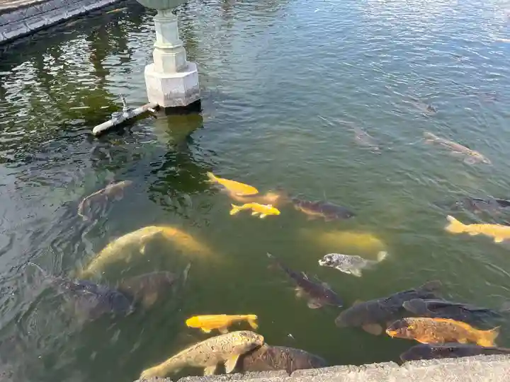 猿賀神社(青森県)