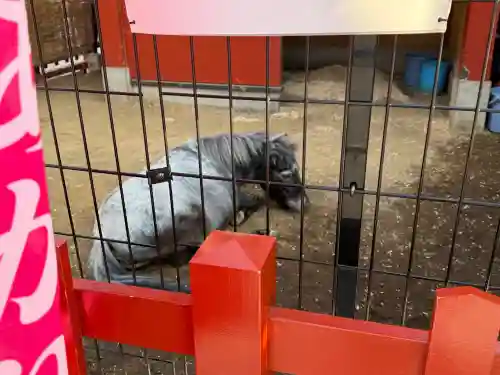 神田神社（神田明神）の{uncategorized: "未分類", other: "その他", undefined: "問題あり", building: "その他建物", grave: "お墓", sacred_gate: "鳥居", guardian: "狛犬", statue: "像", buddha: "仏像", history: "歴史", nature: "自然", garden: "庭園", animal: "動物", pagoda: "塔", temizu: "手水舎", mountain_gate: "山門・神門", sanctuary: "本殿・本堂", subordinate: "末社・摂社", art: "芸術", scenery: "景色", jizo: "地蔵", ema: "絵馬", goshuin: "御朱印", omikuji: "おみくじ", items: "授与品その他", amulet: "お守り", goshuincho: "御朱印帳", eats: "食事", festival: "お祭り", votive_dance: "神楽", shichigosan: "七五三参", wedding: "結婚式", experience: "体験その他", initially: "初詣", around: "周辺", anti_infection: "感染症対策"}